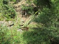 Steinklamm in the Bavarian Forest