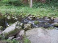 Steinklamm in the Bavarian Forest