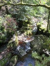 Steinklamm in the Bavarian Forest