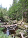 Steinklamm in the Bavarian Forest