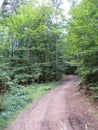 Steinklamm in the Bavarian Forest