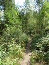 Steinklamm in the Bavarian Forest