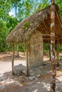 Stele stone slab with straw roof in forest in the Maya ruins Royalty Free Stock Photo