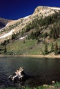 Stella Lake on the Alpine Lakes Trail, Great Basin National Park Royalty Free Stock Photo