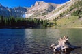 Stella Lake and driftwood, Great Basin National Park Royalty Free Stock Photo