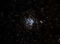 Stellar Cluster M11