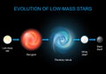 Evolution of low-mass stars Royalty Free Stock Photo