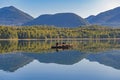 Stellar sea lions basking in the sun in Ucluelet, Vancouver Island Royalty Free Stock Photo