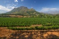 Stellenbosch American Express Wine Routes, South Africa Royalty Free Stock Photo