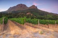 Stellenbosch, the heart of the wine growing region in South Africa Royalty Free Stock Photo