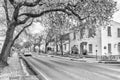 Historic buildings in Dorp street in Stellenbosch. Monochrome