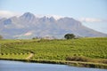 Stellenbosch vineyards and lake Cape South Africa