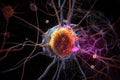 stem cell-derived neuron firing in the brain