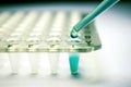 Stem Cell Research Pipette Royalty Free Stock Photo