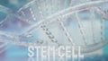 The  stem cell text on dna background for sci or medical concept 3d rendering Royalty Free Stock Photo