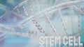 The  stem cell text on dna background for sci or medical concept 3d rendering Royalty Free Stock Photo