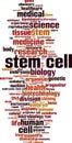 Stem cell word cloud Royalty Free Stock Photo