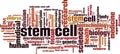 Stem cell word cloud Royalty Free Stock Photo