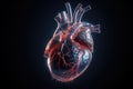 stem cells being used to rebuild damaged heart muscle, with the goal of treating heart disease