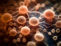 Stem cells build up a new tissue