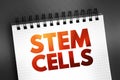 Stem Cells - special human cells that are able to develop into many different cell types, medical text concept on notepad Royalty Free Stock Photo
