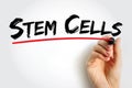 Stem Cells - special human cells that are able to develop into many different cell types, medical text concept for presentations Royalty Free Stock Photo