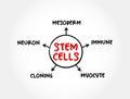 Stem cells - special human cells that are able to develop into many different cell types, medical mind map concept for