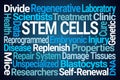 Stem Cells Word Cloud