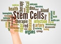 Stem cells word cloud and hand with marker concept Royalty Free Stock Photo