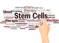 Stem cells word cloud hand writing concept Royalty Free Stock Photo