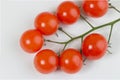 Stem of cherry tomatoes Royalty Free Stock Photo