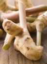 Stem of Galangal Root Royalty Free Stock Photo