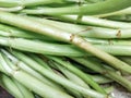 The stem part of the water spinach plant or Ipomoea aquatica is a type of vegetable, closeup. Royalty Free Stock Photo