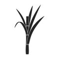 Stem sugar cane vector icon.Black vector icon isolated on white background stem sugar cane