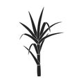 Stem sugar cane vector icon.Black vector icon isolated on white background stem sugar cane