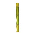 Stem sugar cane vector icon.Cartoon vector icon isolated on white background stem sugar cane.