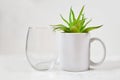 Stemless Wineglass and 11 oz. Coffee Mug Mockup with Aloe Vera Plant