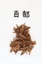 Chinese Stemona Tuber Herb Royalty Free Stock Photo