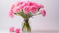 stems pink carnation