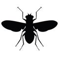 Stencil black flies. Raster