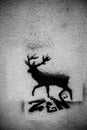 Stencil on a deer concrete wall with Zen text