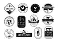 Stencil farm business emblems. Rancho mark, agriculture label and farm house branding template vector set