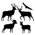 Elk Wapiti Mule Deer Bighorn Sheep and California Condor Silhouette