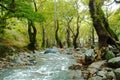 Steni Dirfyos village forest and river, Euboea, Greece