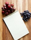 Steno spiral notebook with room for text or recipes