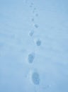 Step along frozen pathway. Step impressions in winter snow. Footstep on frosty path. Snow steps forward outdoors. Step pattern on Royalty Free Stock Photo