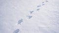 Step along frozen pathway. Step impressions in winter snow. Footstep on frosty path. Snow steps forward outdoors. Step pattern on Royalty Free Stock Photo