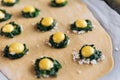 Step by step the chef prepares ravioli with ricotta cheese, yolks quail eggs and spinach with spices. The chef prepares the fillin Royalty Free Stock Photo