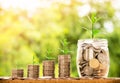 Step of coins stacks with tree growing on top, nature background, money, saving and investment or family planning concept, over su Royalty Free Stock Photo