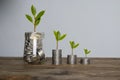 Step of coins stacks with tree growing on top Royalty Free Stock Photo
